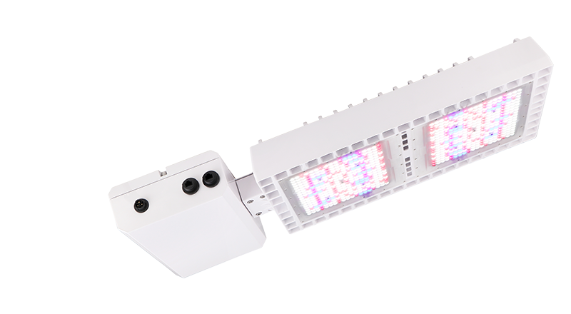 LED Grow Light