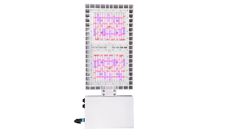 LED Grow Light