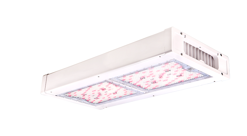 LED Grow Light