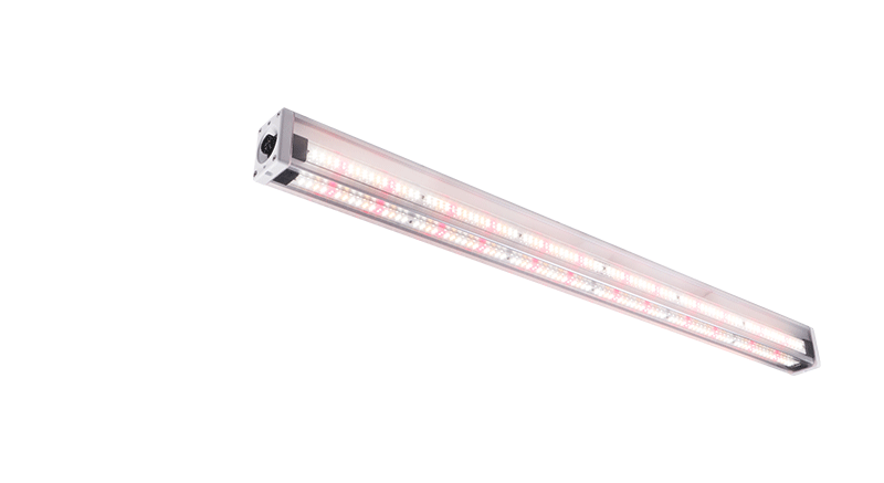 LED Grow Light